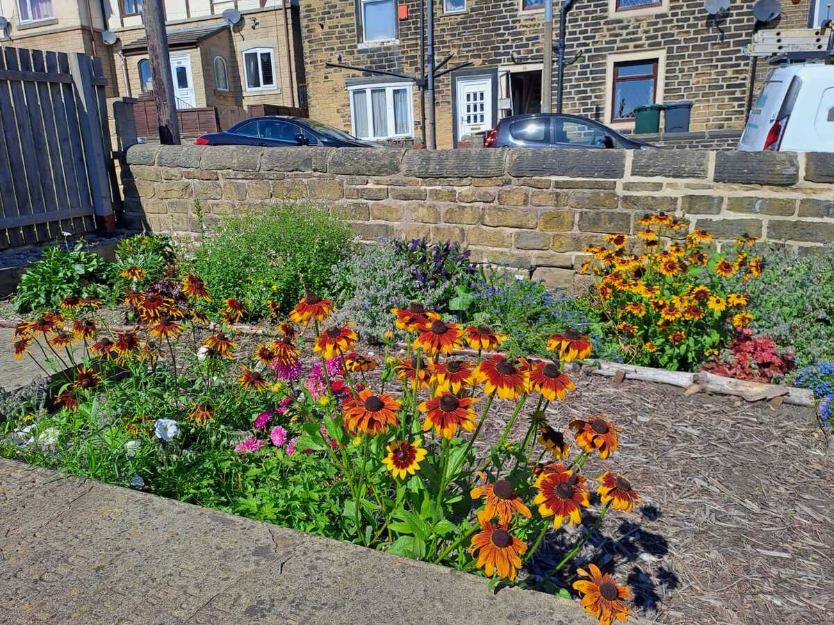 Chapel Street border